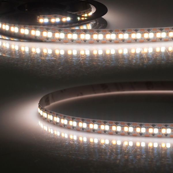ISOLED LED CRI923/960 Linear10 Flexband, 24V, 10W+10W, IP20, weißdynamisch, 240 LED/m