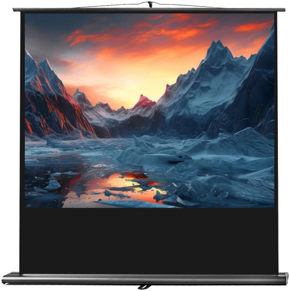 celexon Leinwand Ultramobil Professional 160 x 120 cm
