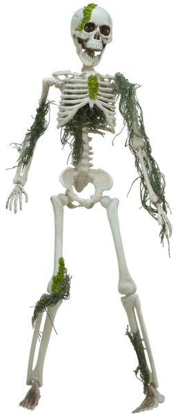 EUROPALMS Halloween Skelett mit Moos, 40cm