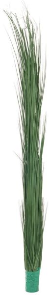 EUROPALMS Schilfgras, dunkelgrün, 127cm
