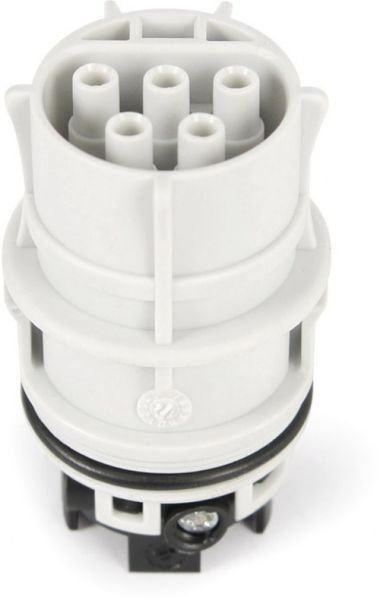Wieland Buchsenteil mit Zugentlastung RST20I5S B1 ZR1 GL
