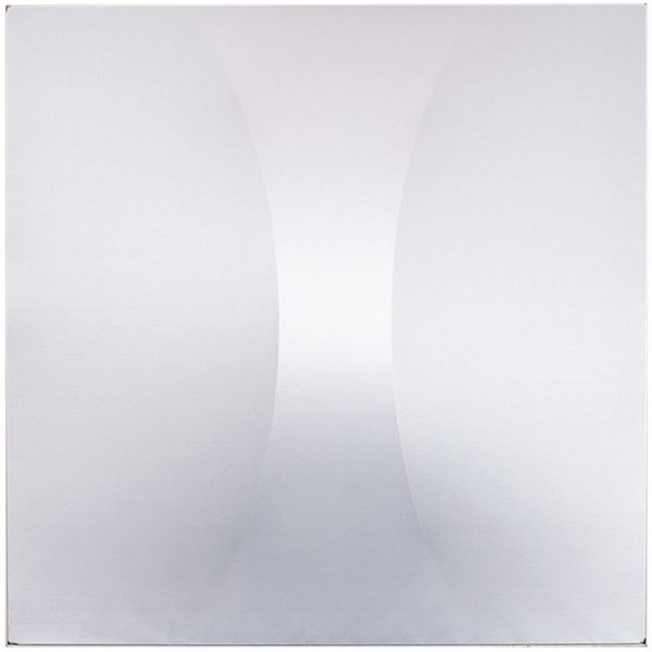 3D Deco Panel Venturi Slim Für 2 x Wentex SET Frame - A Module 50 x 100 cm