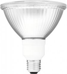 LED Lampen für PAR-Kannen