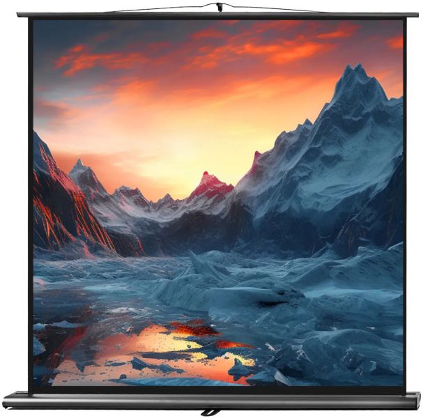celexon Leinwand Ultramobil Professional 160 x 160 cm